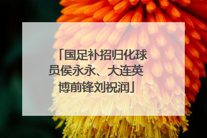 国足补招归化球员侯永永、大连英博前锋刘祝润