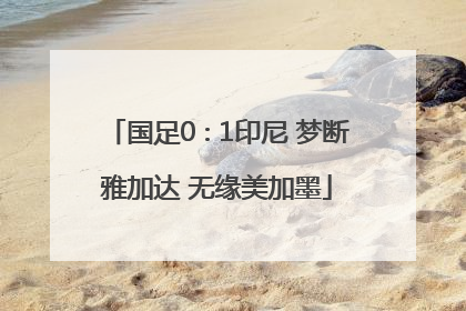 国足0∶1印尼 梦断雅加达 无缘美加墨