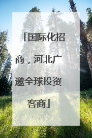 国际化招商，河北广邀全球投资客商