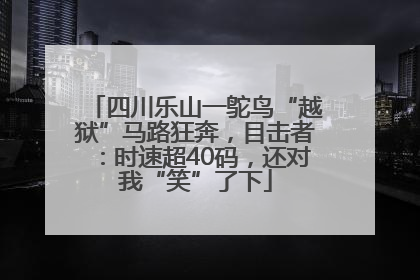 四川乐山一鸵鸟“越狱”马路狂奔，目击者：时速超40码，还对我“笑”了下