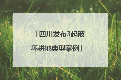 四川发布3起破坏耕地典型案例