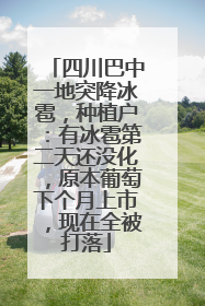 四川巴中一地突降冰雹，种植户：有冰雹第二天还没化，原本葡萄下个月上市，现在全被打落