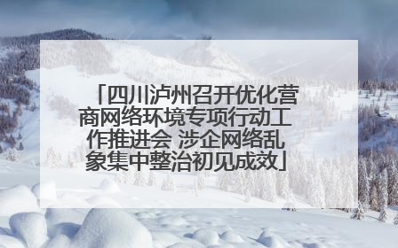 四川泸州召开优化营商网络环境专项行动工作推进会 涉企网络乱象集中整治初见成效
