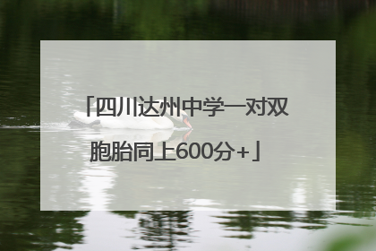 四川达州中学一对双胞胎同上600分+
