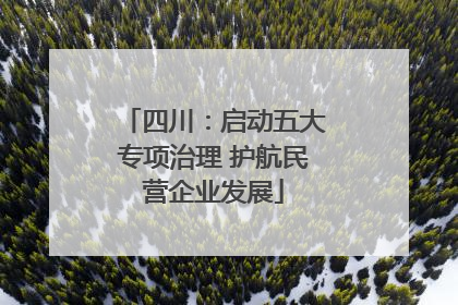 四川：启动五大专项治理 护航民营企业发展