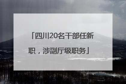 四川20名干部任新职，涉副厅级职务