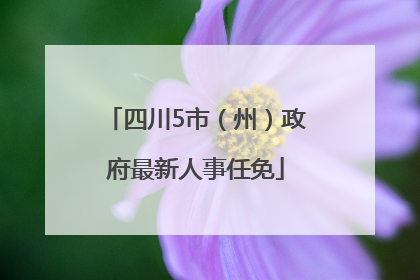 四川5市（州）政府最新人事任免