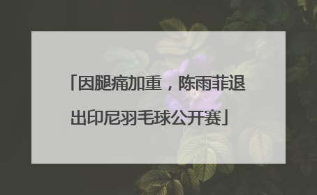因腿痛加重，陈雨菲退出印尼羽毛球公开赛