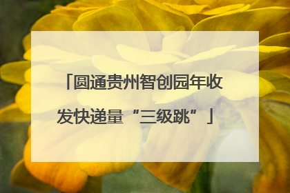 圆通贵州智创园年收发快递量“三级跳”