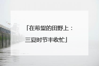 在希望的田野上：三夏时节丰收忙