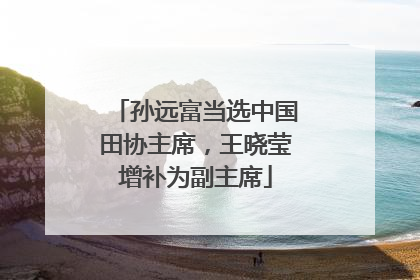 孙远富当选中国田协主席，王晓莹增补为副主席
