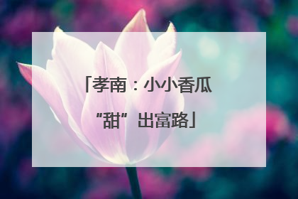 孝南：小小香瓜 “甜”出富路