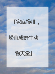 家底摸排，崂山成野生动物天堂