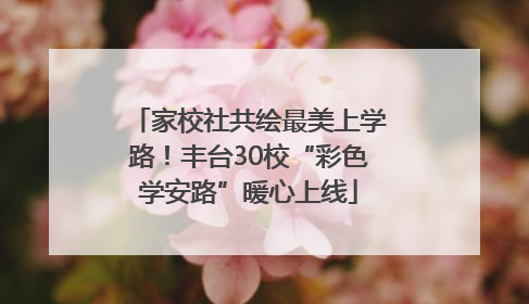 家校社共绘最美上学路！丰台30校“彩色学安路”暖心上线