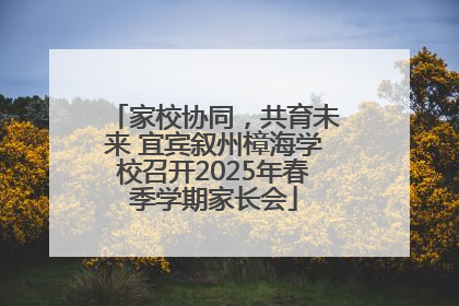 家校协同，共育未来 宜宾叙州樟海学校召开2025年春季学期家长会