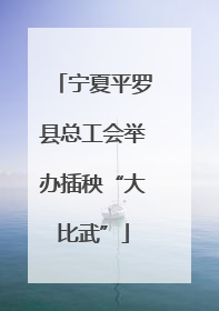 宁夏平罗县总工会举办插秧“大比武”