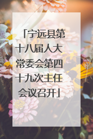 宁远县第十八届人大常委会第四十九次主任会议召开