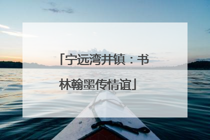 宁远湾井镇：书林翰墨传情谊