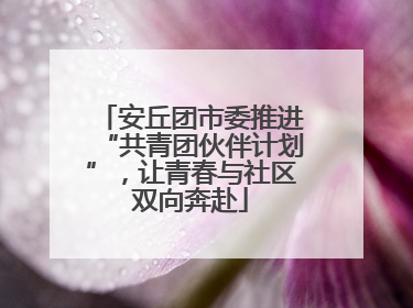 安丘团市委推进“共青团伙伴计划”，让青春与社区双向奔赴