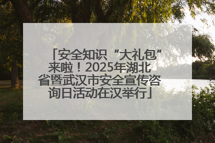 安全知识“大礼包”来啦！2025年湖北省暨武汉市安全宣传咨询日活动在汉举行