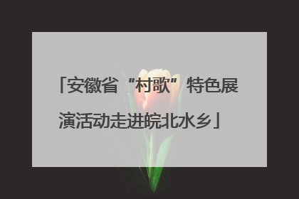 安徽省“村歌”特色展演活动走进皖北水乡