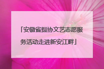 安徽省摄协文艺志愿服务活动走进新安江畔