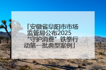 安徽省阜阳市市场监管局公布2025“守护消费”铁拳行动第一批典型案例
