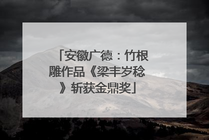 安徽广德：竹根雕作品《梁丰岁稔》斩获金鼎奖