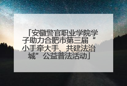 安徽警官职业学院学子助力合肥市第三届“小手牵大手、共建法治城”公益普法活动