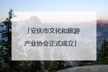 安庆市文化和旅游产业协会正式成立