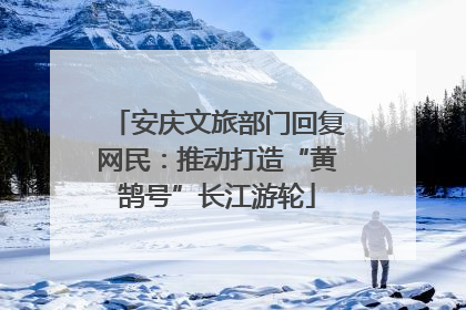 安庆文旅部门回复网民：推动打造“黄鹄号”长江游轮