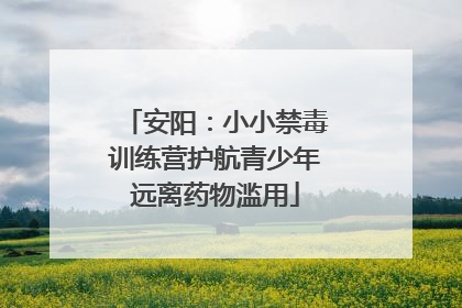 安阳：小小禁毒训练营护航青少年远离药物滥用
