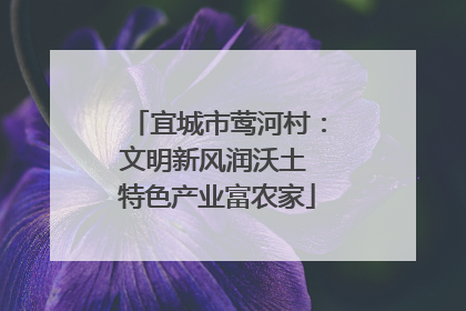 宜城市莺河村：文明新风润沃土 特色产业富农家
