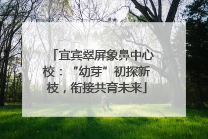 宜宾翠屏象鼻中心校：“幼芽”初探新枝，衔接共育未来