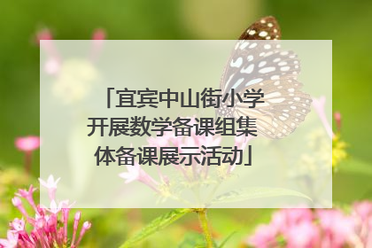 宜宾中山街小学开展数学备课组集体备课展示活动