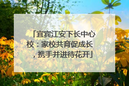 宜宾江安下长中心校：家校共育促成长，携手并进待花开