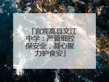 宜宾高县文江中学：严管细控保安全，凝心聚力护食安