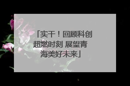 实干！回顾科创超燃时刻 展望青海美好未来