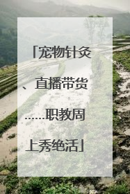 宠物针灸、直播带货……职教周上秀绝活
