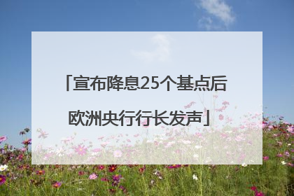宣布降息25个基点后 欧洲央行行长发声
