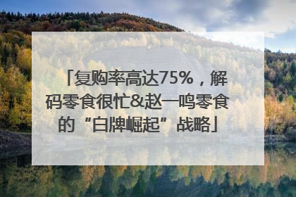 复购率高达75%，解码零食很忙&赵一鸣零食的“白牌崛起”战略