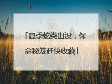 夏季蛇类出没，保命秘笈赶快收藏