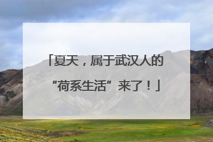 夏天，属于武汉人的“荷系生活”来了！
