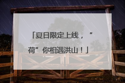 夏日限定上线，“荷”你相遇洪山！