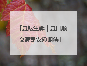 夏耘生辉｜夏日顺义满是农趣期待