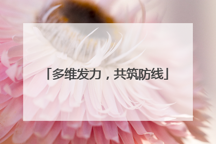 多维发力，共筑防线