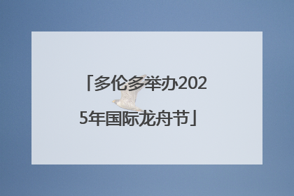多伦多举办2025年国际龙舟节