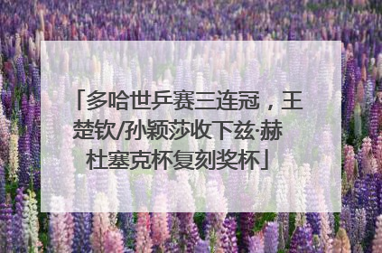 多哈世乒赛三连冠，王楚钦/孙颖莎收下兹·赫杜塞克杯复刻奖杯
