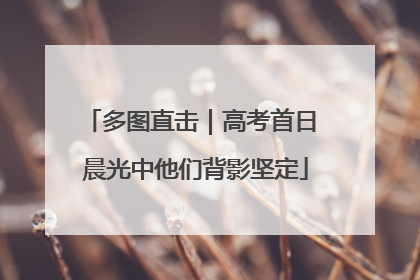 多图直击｜高考首日 晨光中他们背影坚定