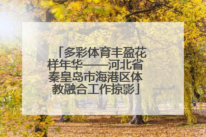 多彩体育丰盈花样年华——河北省秦皇岛市海港区体教融合工作掠影